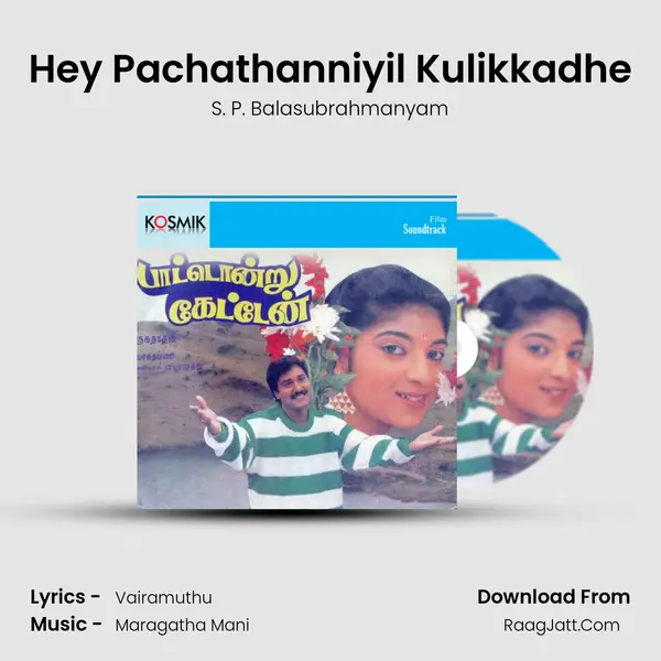 Hey Pachathanniyil Kulikkadhe MP3 Song by S. P. Balasubrahmanyam Cover