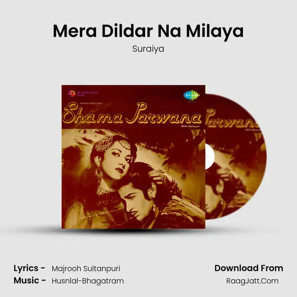 Mera Dildar Na Milaya Cover