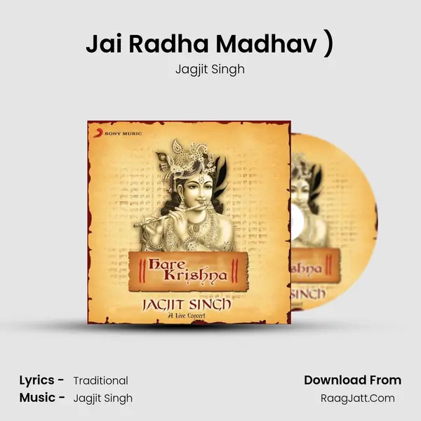 Jai Radha Madhav (Mahamantra - Hare Krishna...Raag Darbari (Live)) MP3 Song by Jagjit Singh Cover