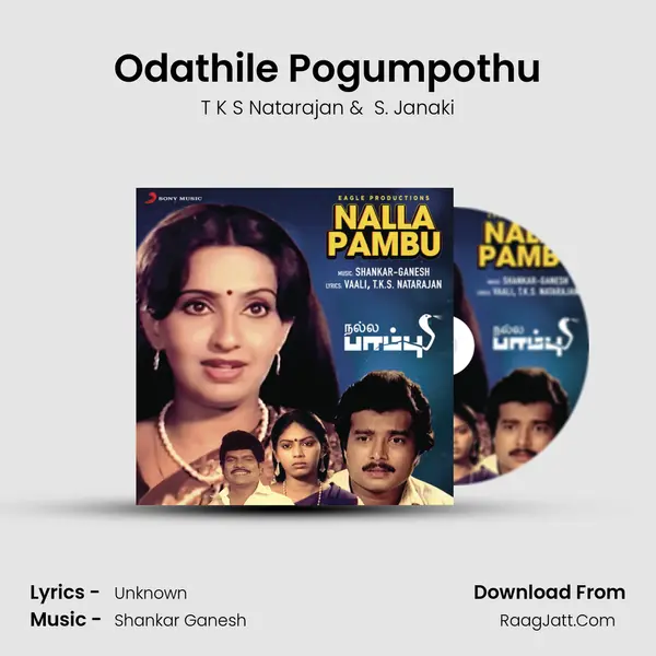 Odathile Pogumpothu MP3 Song by T K S Natarajan Cover