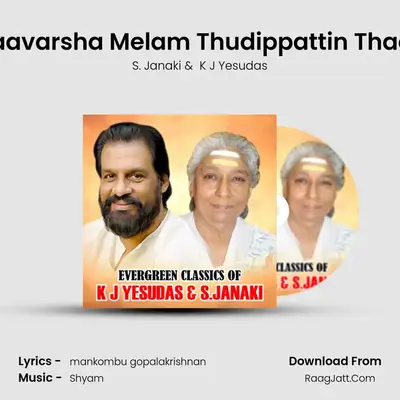 Thulaavarsha Melam Thudippattin Thaalam Cover