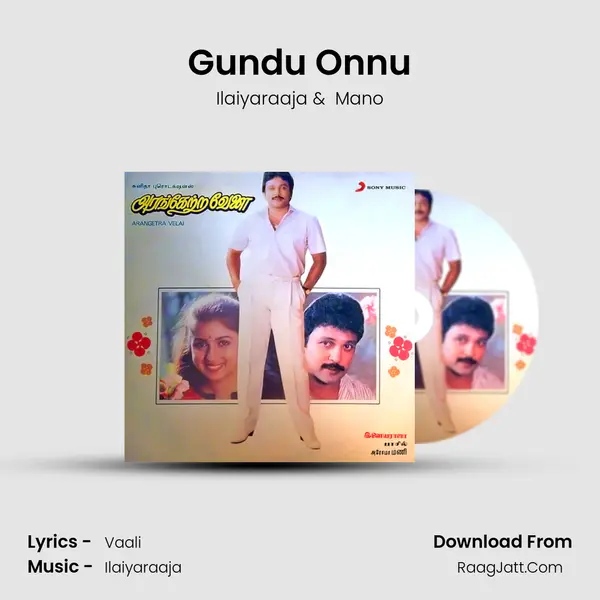 Gundu Onnu MP3 Song by Ilaiyaraaja Cover