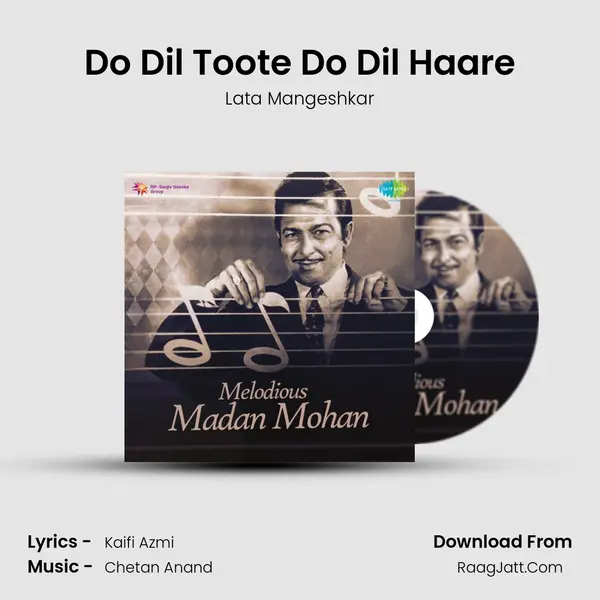 Do Dil Toote Do Dil Haare Cover
