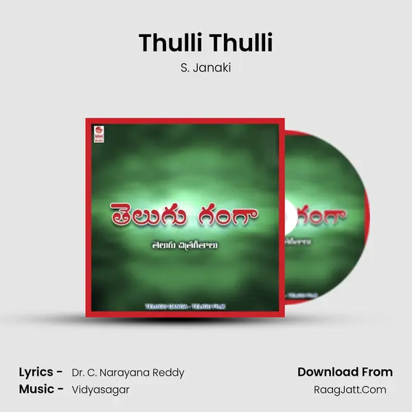 Thulli Thulli MP3 Song by S. Janaki Cover