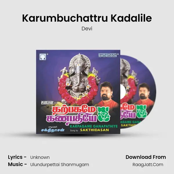Karumbuchattru Kadalile MP3 Song by Devi Cover