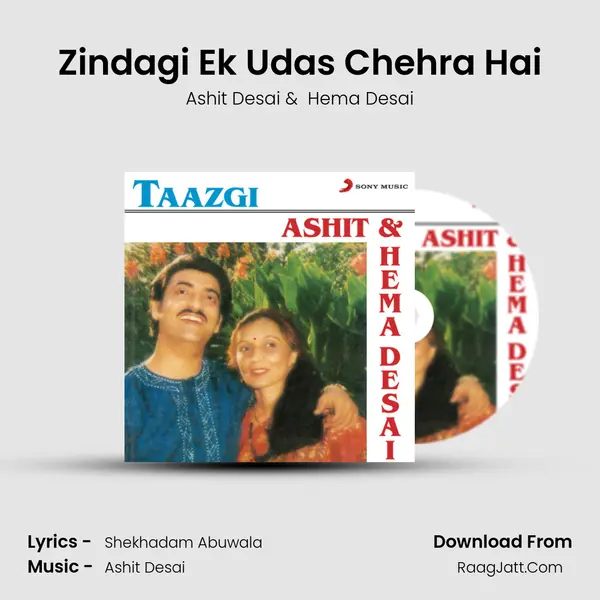 Zindagi Ek Udas Chehra Hai MP3 Song by Ashit Desai Cover