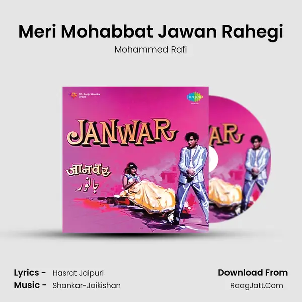 Meri Mohabbat Jawan Rahegi Cover