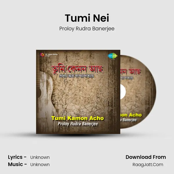 Tumi Nei MP3 Song by Proloy Rudra Banerjee Cover