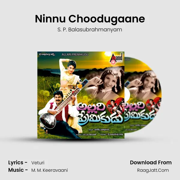 Ninnu Choodugaane MP3 Song by S. P. Balasubrahmanyam Cover