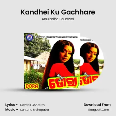 Kandhei Ku Gachhare MP3 Song by Anuradha Paudwal Cover