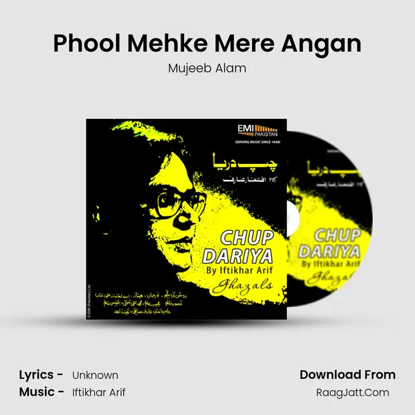 Phool Mehke Mere Angan MP3 Song by Mujeeb Alam Cover