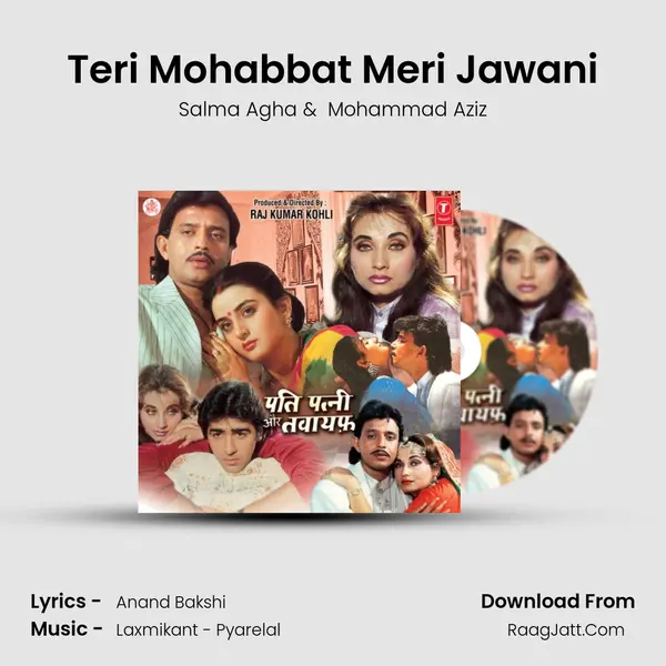 Teri Mohabbat Meri Jawani MP3 Song by Salma Agha Cover