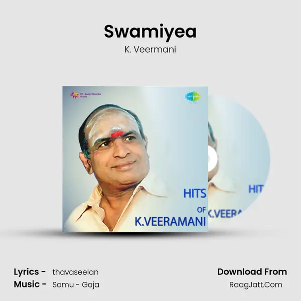 Swamiyea MP3 Song by K. Veermani Cover