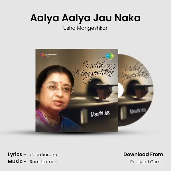 Aalya Aalya Jau Naka Cover