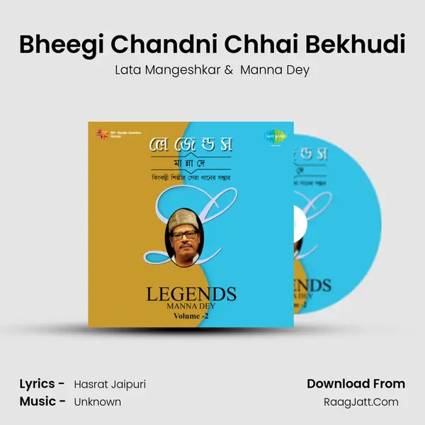 Bheegi Chandni Chhai Bekhudi Cover
