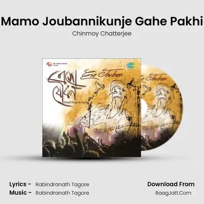Mamo Joubannikunje Gahe Pakhi Cover