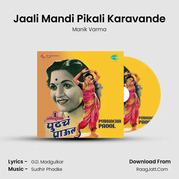 Jaali Mandi Pikali Karavande Cover