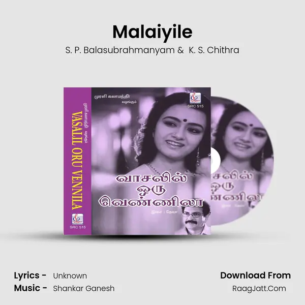 Malaiyile MP3 Song by S. P. Balasubrahmanyam Cover