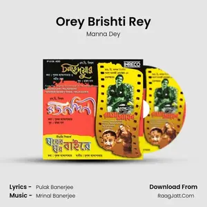 Orey Brishti Rey Cover