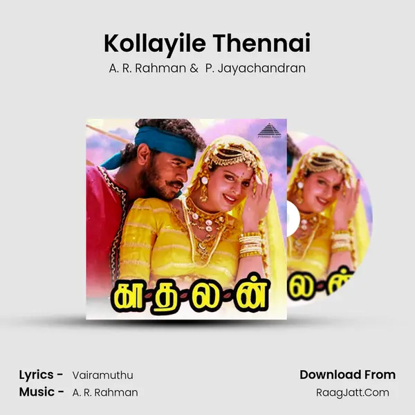 Kollayile Thennai MP3 Song by A. R. Rahman Cover