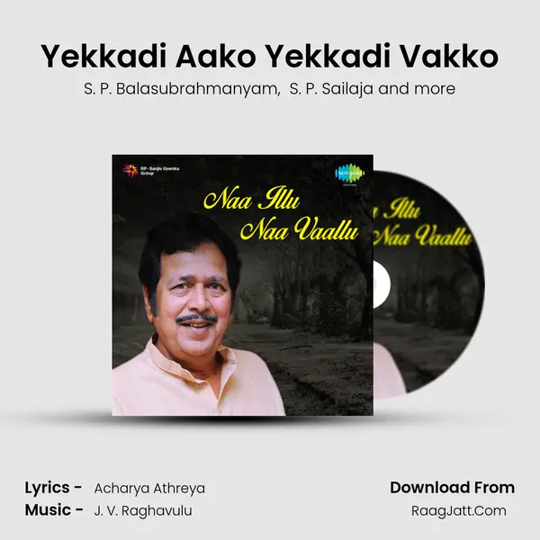 Naa Illu Naa Vaallu - S. P. Balasubrahmanyam