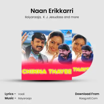 Naan Erikkarri MP3 Song by Ilaiyaraaja Cover
