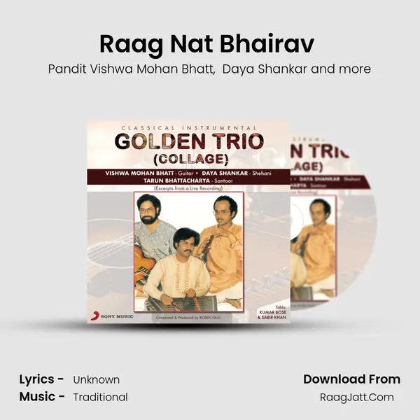 Raag Nat Bhairav (Live) MP3 Song by Pandit Vishwa Mohan Bhatt Cover