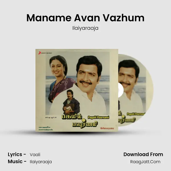 Maname Avan Vazhum MP3 Song by Ilaiyaraaja Cover