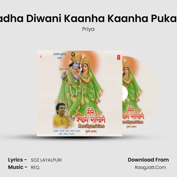 Radha Diwani Kaanha Kaanha Pukare MP3 Song by Priya Cover