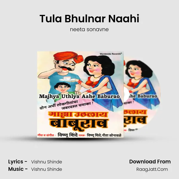 Tula Bhulnar Naahi MP3 Song by neeta sonavne Cover