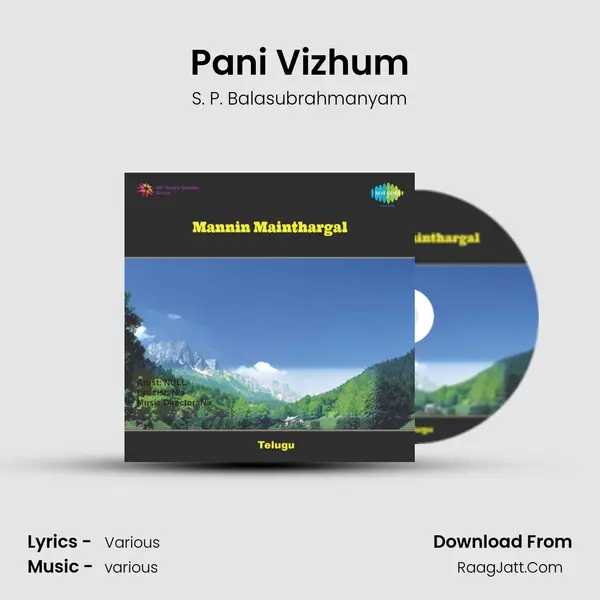 Pani Vizhum MP3 Song by S. P. Balasubrahmanyam Cover