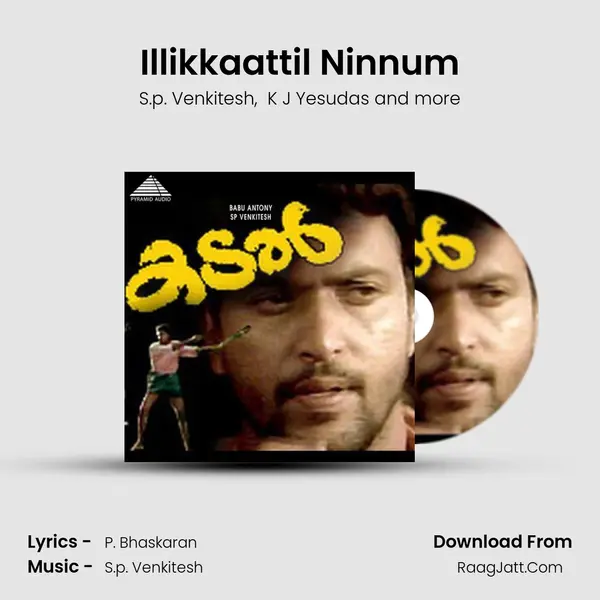 Illikkaattil Ninnum MP3 Song by S.p. Venkitesh Cover