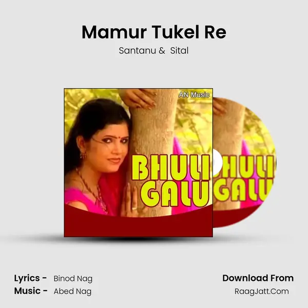 Mamur Tukel Re MP3 Song by Santanu Cover