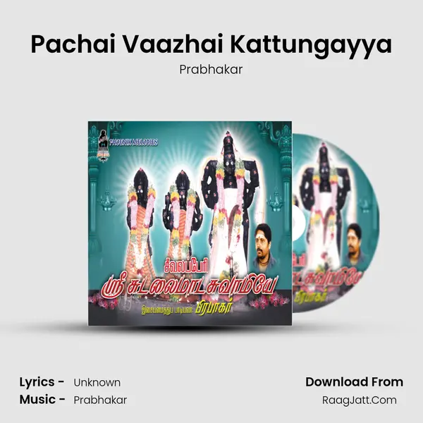 Pachai Vaazhai Kattungayya MP3 Song by Prabhakar Cover