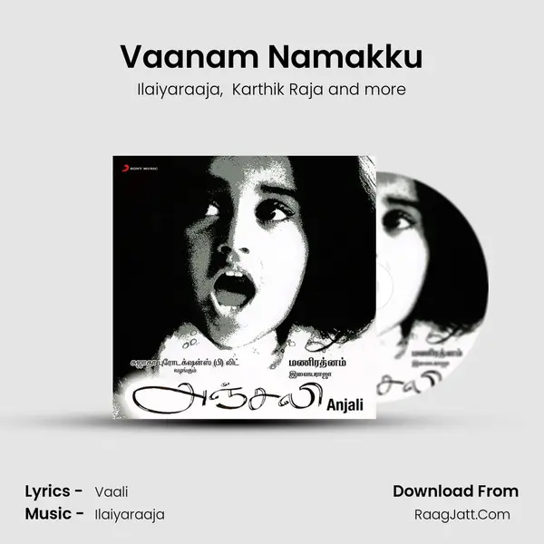 Vaanam Namakku MP3 Song by Ilaiyaraaja Cover
