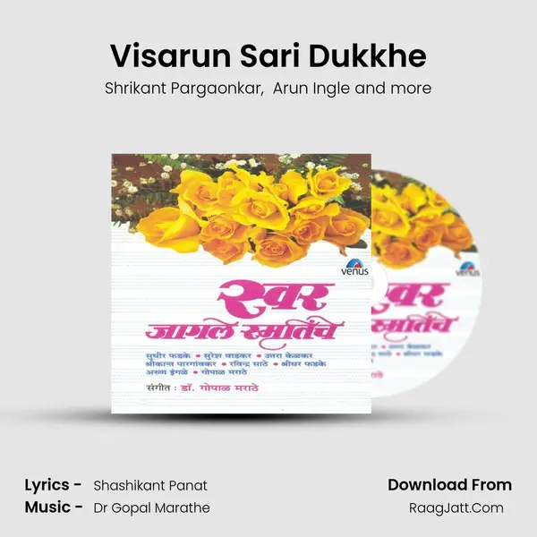 Visarun Sari Dukkhe MP3 Song by Shrikant Pargaonkar Cover