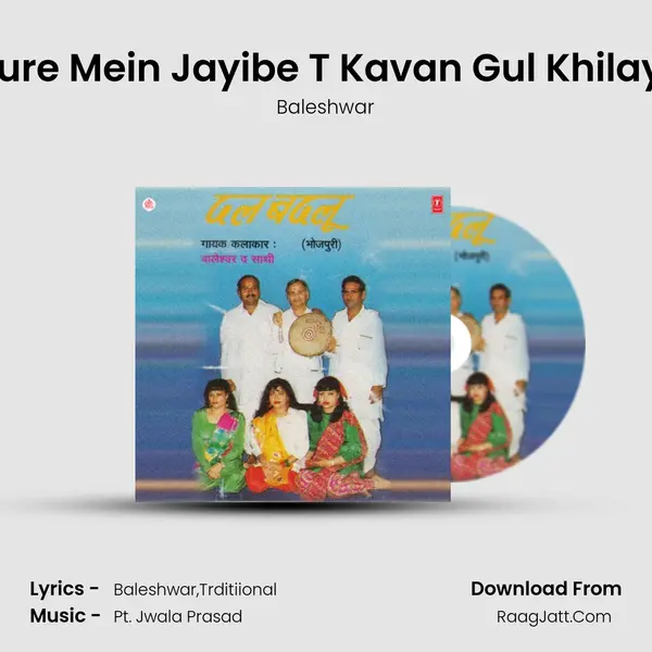 Sasure Mein Jayibe T Kavan Gul Khilayibu MP3 Song by Baleshwar Cover