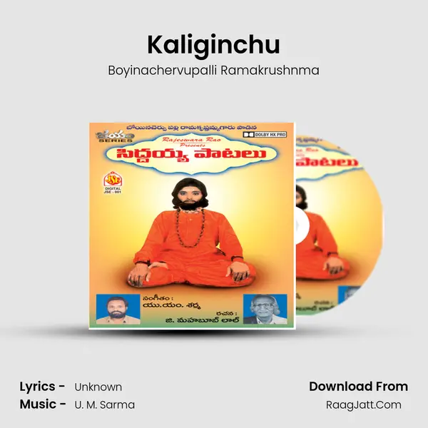 Kaliginchu MP3 Song by Boyinachervupalli Ramakrushnma Cover