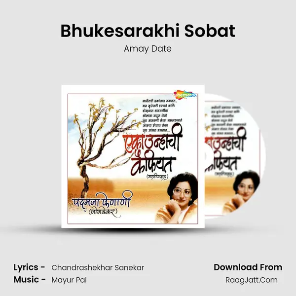 Bhukesarakhi Sobat MP3 Song by Amay Date Cover