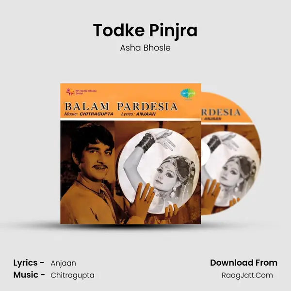 Todke Pinjra MP3 Song by Asha Bhosle Cover