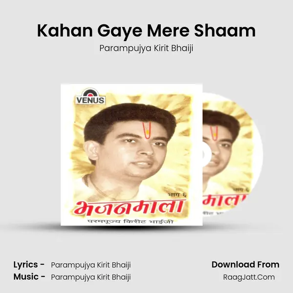 Kahan Gaye Mere Shaam mp3 song