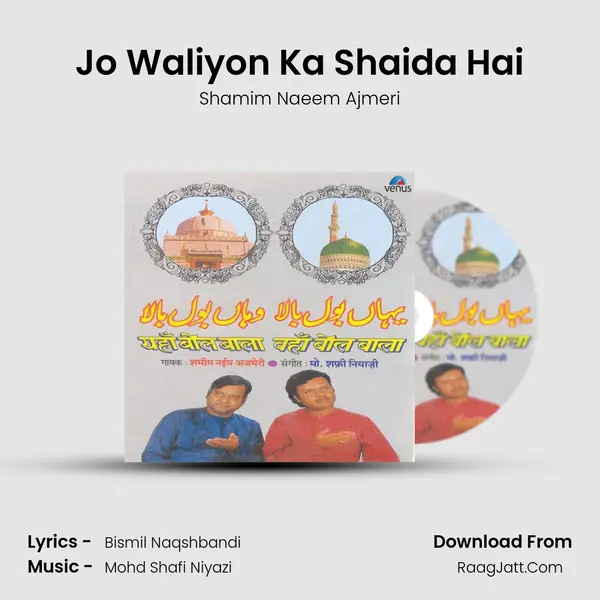 Jo Waliyon Ka Shaida Hai mp3 song