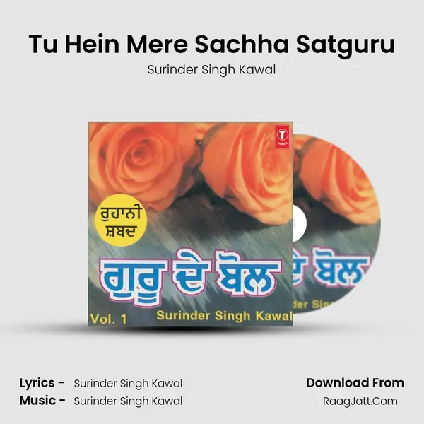 Tu Hein Mere Sachha Satguru MP3 Song by Surinder Singh Kawal Cover