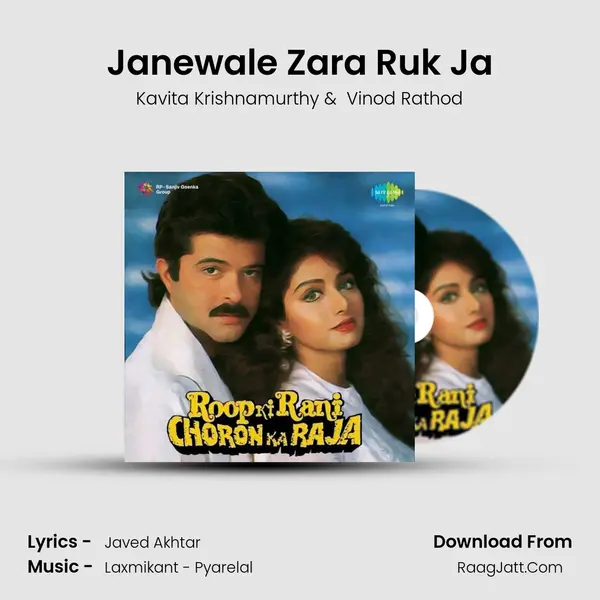 Janewale Zara Ruk Ja MP3 Song by Kavita Krishnamurthy Cover