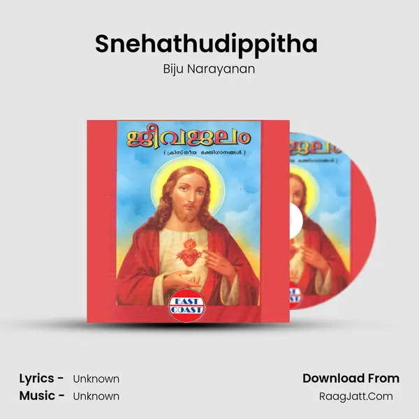 Snehathudippitha (M) MP3 Song by Biju Narayanan Cover