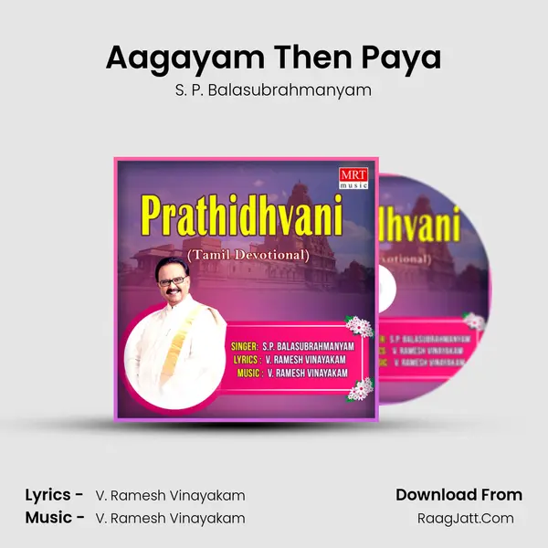 Aagayam Then Paya MP3 Song by S. P. Balasubrahmanyam Cover