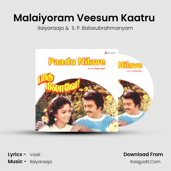 Malaiyoram Veesum Kaatru (Male) MP3 Song by Ilaiyaraaja Cover