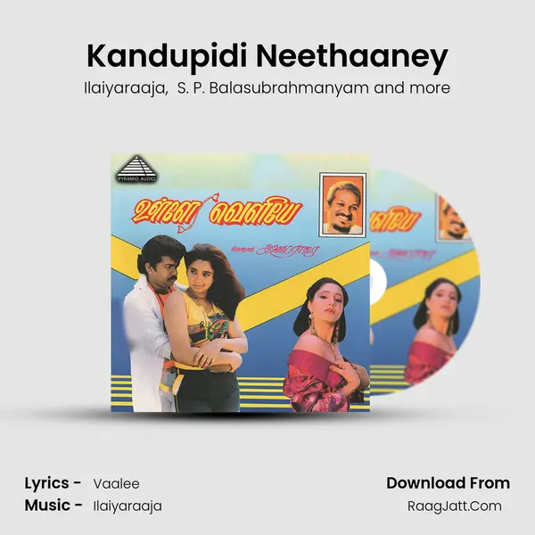 Kandupidi Neethaaney MP3 Song by Ilaiyaraaja Cover