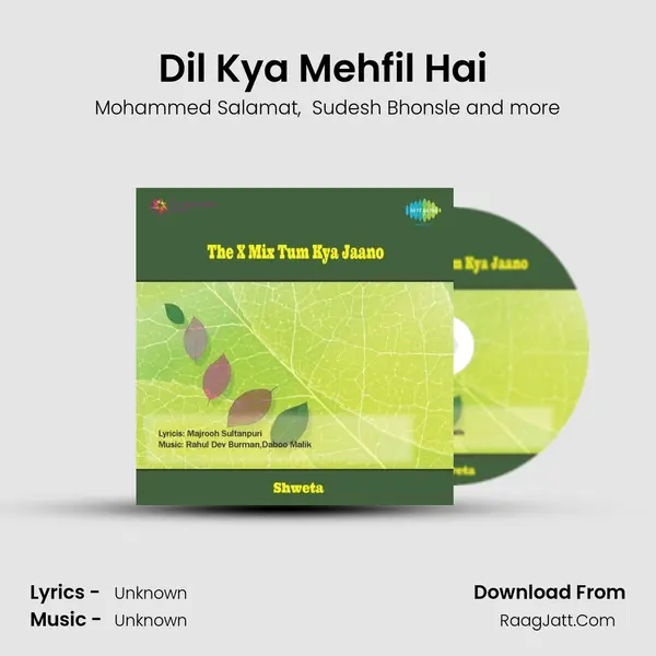 Dil Kya Mehfil Hai (Remix)(Part 2) MP3 Song by Mohammed Salamat Cover