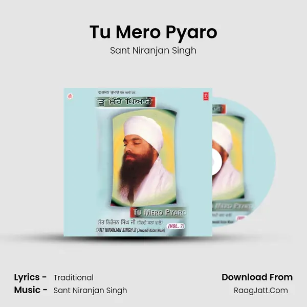 Tu Mero Pyaro MP3 Song by Sant Niranjan Singh Cover